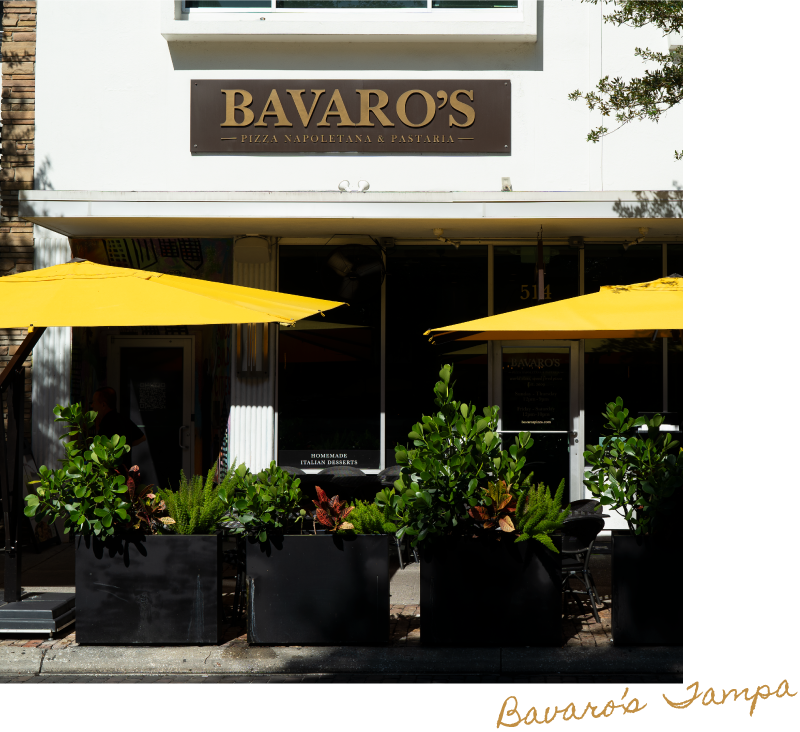 Bavaros Tampa Exterior